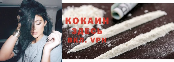 крисы Арсеньев
