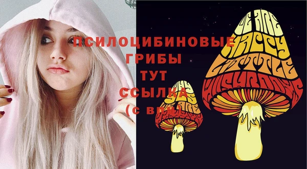MDMA Premium VHQ Аркадак