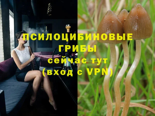 MDMA Premium VHQ Аркадак