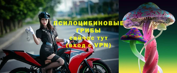 крисы Арсеньев